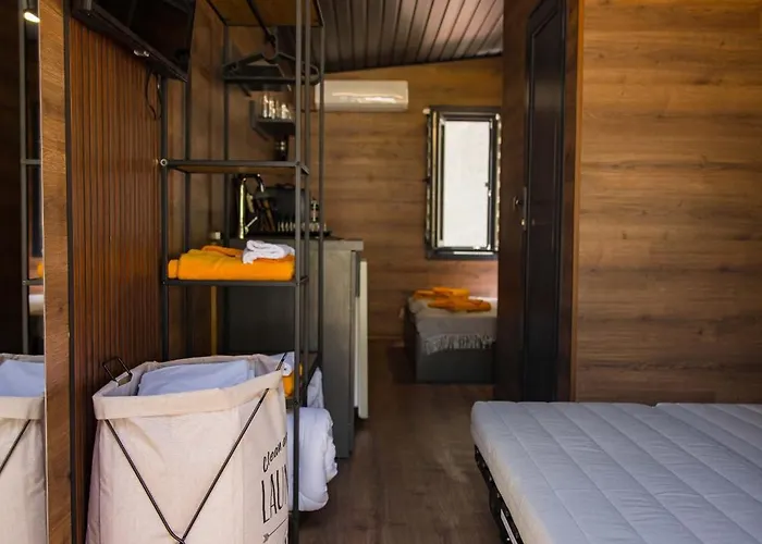 Albatross Family Nest Breeze *