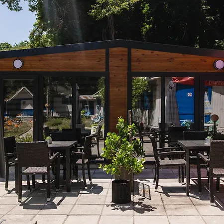 Albatross Family Nest Breeze Varna