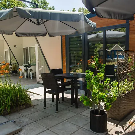 Albatross Family Nest Breeze *