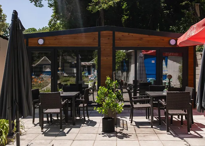 Albatross Family Nest Breeze Varna