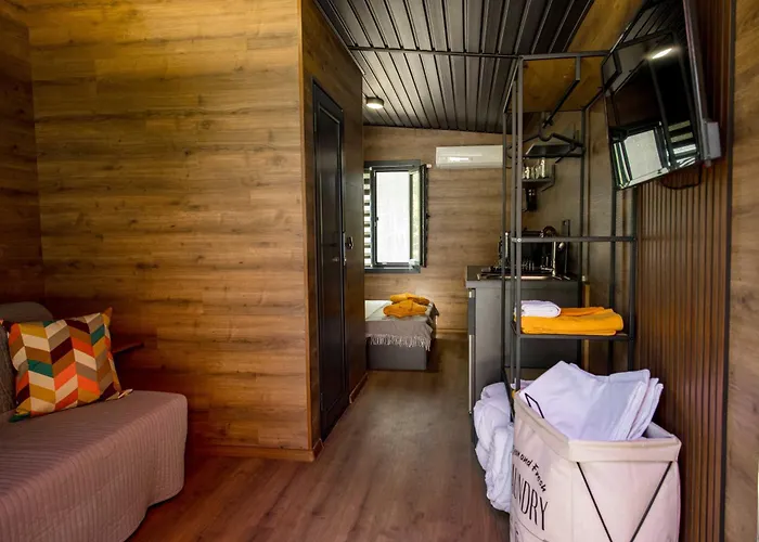 Albatross Family Nest Breeze Varna