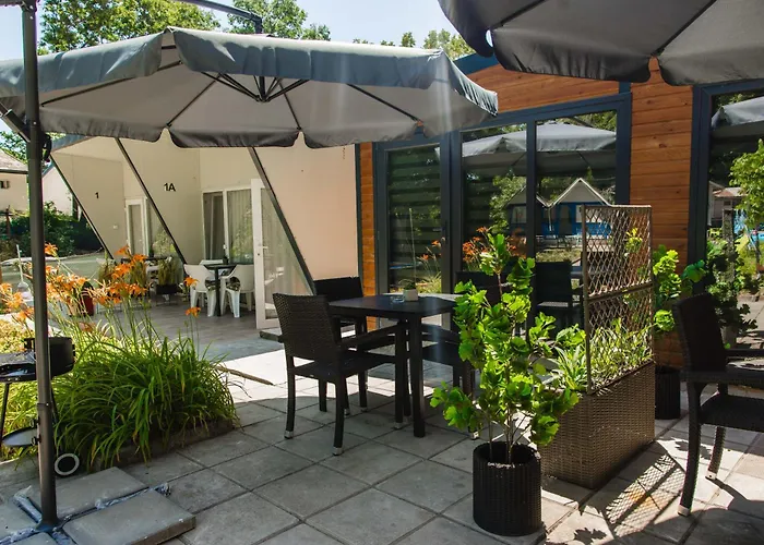 Albatross Family Nest Breeze *